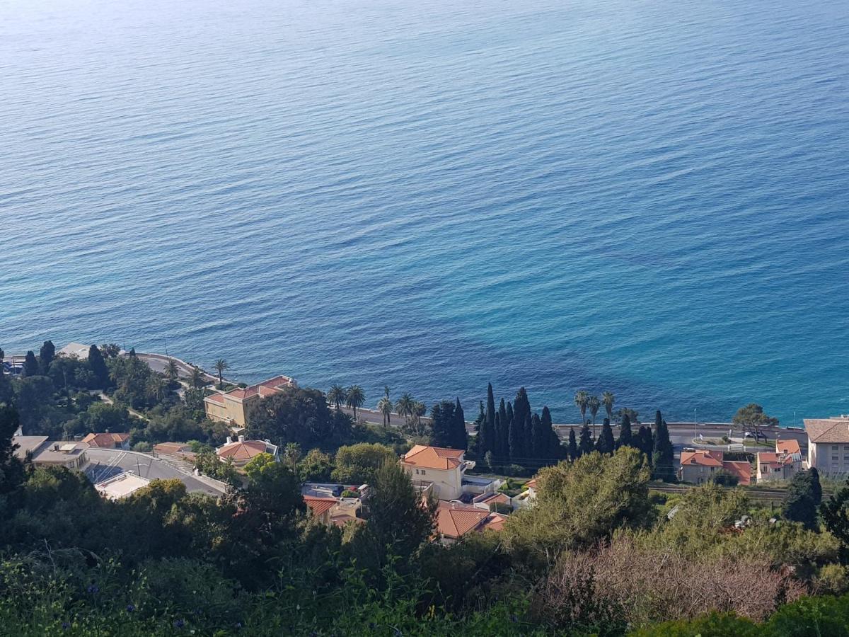 Maison Patricia Menton Appartemets מראה חיצוני תמונה
